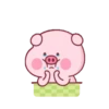PINK PIG 17