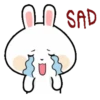 Funny bunny 18