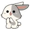 little Bunny 17