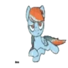 Rainbow DashMov 24