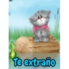 Gatitos cariñosos Mov 22