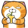 S̲E̲L̲E̲C̲C̲I̲O̲N̲ R̲U̲P̲P̲E̲R̲T̲ C̲A̲T̲ Mov 22
