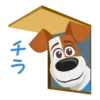 Secret Life Of Pets 16