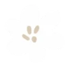 white  (mov.) 23