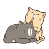 Gatinhos fofos 16