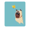 Secret Life Of Pets 18