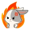 little Bunny 18