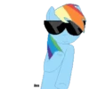 Rainbow DashMov 26