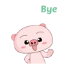 PINK PIG mov. 24