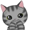 ‍American shorthair‍ Mov 18