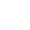 सुंदर फूल 25