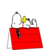 Snoooy Mov 29