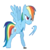 Rainbow DashMov 28