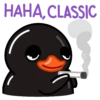 Black duck MOVbyYessy 19