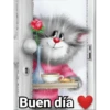 Gatitos cariñosos Mov 25