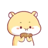 Hamster PangPang 21