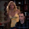 Big Bang Theory 28