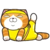 S̲E̲L̲E̲C̲C̲I̲O̲N̲ R̲U̲P̲P̲E̲R̲T̲ C̲A̲T̲ Mov 24