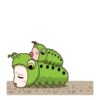 Drama Wide and Pig 23