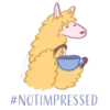 llama amarillamov 17