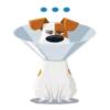 Secret Life Of Pets 21
