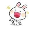 Funny bunny 24