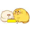 Fat Cat & Friend  Mov 25