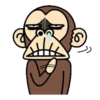 funny monkey 2 21