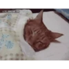 Sueño 24