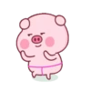 PINK PIG 22