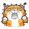 S̲E̲L̲E̲C̲C̲I̲O̲N̲ R̲U̲P̲P̲E̲R̲T̲ C̲A̲T̲ Mov 26