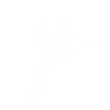 white  (mov.) 28
