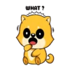 Pochi y Mochi 29