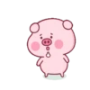 PINK PIG 24
