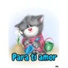 Gatitos cariñosos Mov 29