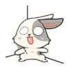 little Bunny 24