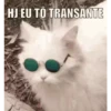 animalitos🖤🖤 5