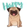 Pug🐶🌼.MOV 7