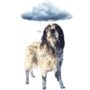 Dogs  ▼・ᴥ・▼ 7