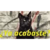 animalitos🖤🖤 8