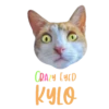 Cats Names.MOV 6
