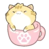 KiTtEn WiTh PeT 6