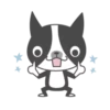 Boston terrier and friends 5