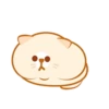 Lovely cats♡ Mov 8