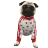 Pug🐶🌼.MOV 10