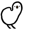 Crazy pigeon 5