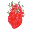 Corazones en movimiento 6