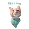 Cats Names.MOV 7
