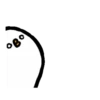 Crazy pigeon 6