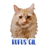 Cats Names.MOV 8